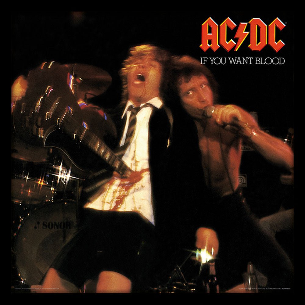 AC/DC エーシーディーシー (Back in Black 45周年 ) - IF YOU WANT BLOOD (アルバム・シリーズ額) / インテリア額 - PGS